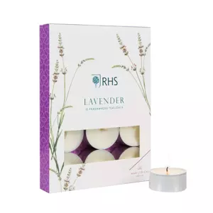 TEALIGHT LAVENDER