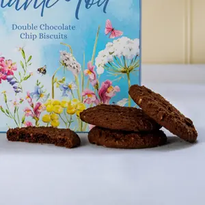 Thank you Double Ch/Chip Box - image 2