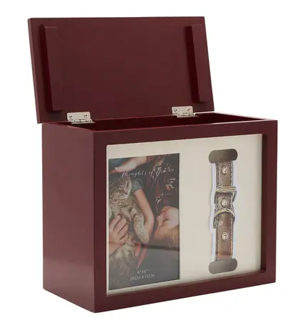 Thoughts Of You Pet Memorial Box - image 3