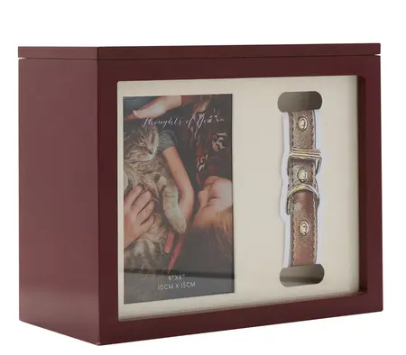 Thoughts Of You Pet Memorial Box - image 2