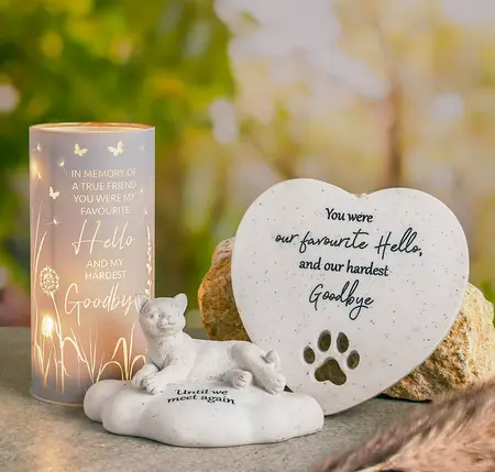 Thoughts of You Pet Memorial Heart Stone - Small - image 3