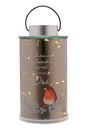 Thoughts Of You Robin Lantern - Dad - image 2