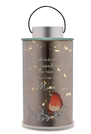 Thoughts Of You Robin Lantern - Mum - image 2