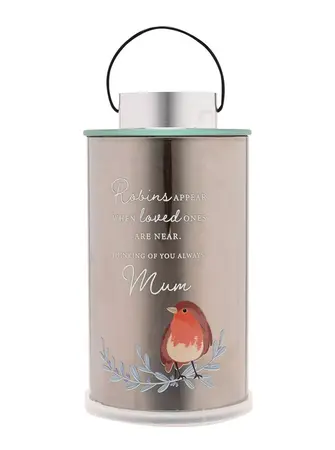Thoughts Of You Robin Lantern - Mum - image 1