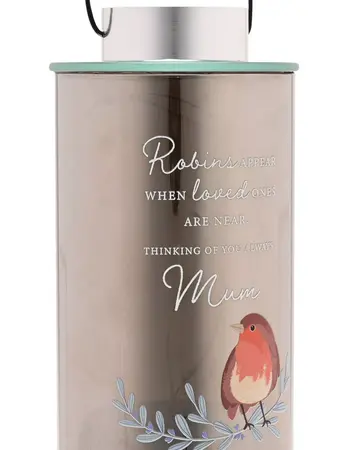 Thoughts Of You Robin Lantern - Mum - image 3