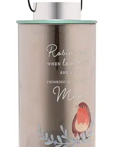 Thoughts Of You Robin Lantern - Mum - image 3
