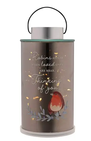 Thoughts Of You Robin Lantern - Thinking Of You - image 2