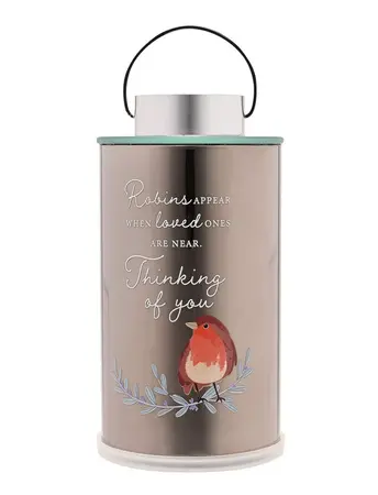 Thoughts Of You Robin Lantern - Thinking Of You - image 1