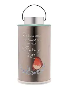Thoughts Of You Robin Lantern - Thinking Of You - image 1