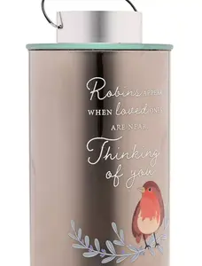 Thoughts Of You Robin Lantern - Thinking Of You - image 3