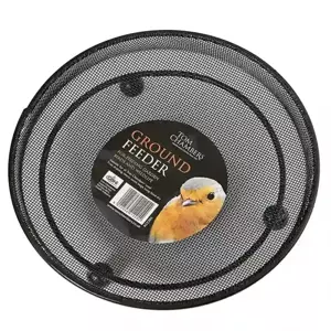 Tom Chambers Ground Feeder