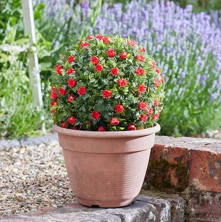 Topiary Red Rose Ball 30 cm - image 2