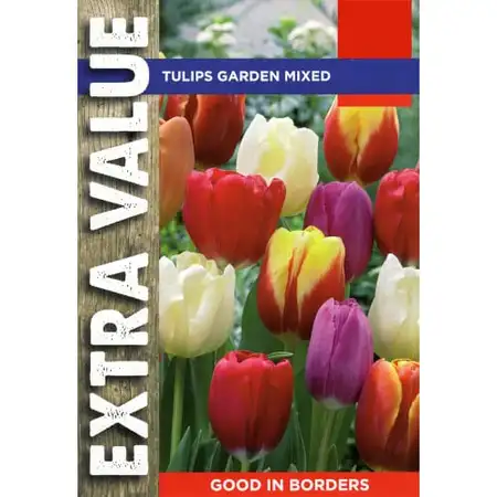 TULIP PERENNIAL MIXED 10-11 VALUE BAG