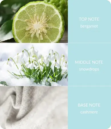 Twin Wick - Snowflake Sparkle - image 4