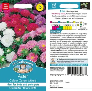 UK/CV-ASTER Colour Carpet Mixe