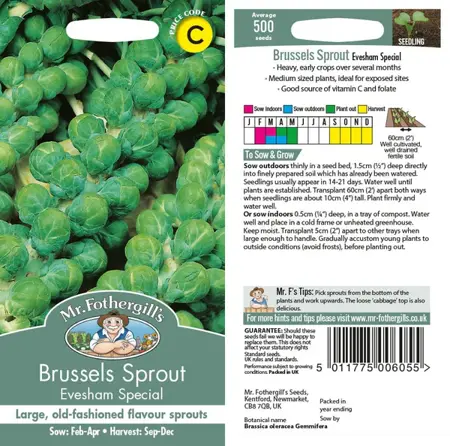 UK/CV-BRUSSELS SPROUT Evesham - image 1