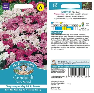 UK/CV-CANDYTUFT Fairy Mixed