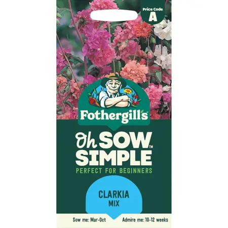 UK/CV-CLARKIA Choice Double Mi - image 1