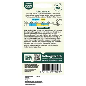 UK/CV-CLARKIA Choice Double Mi - image 2