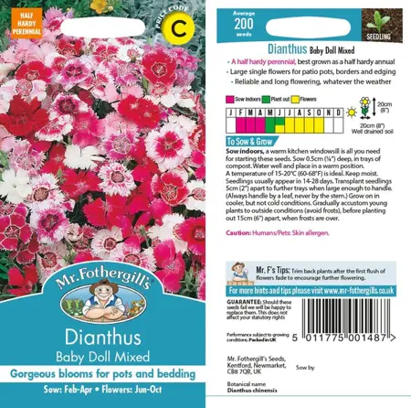 UK/CV-DIANTHUS Baby Doll Mixed - image 1
