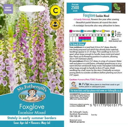 UK/CV-FOXGLOVE Excelsior Mixed - image 1