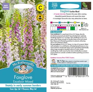 UK/CV-FOXGLOVE Excelsior Mixed