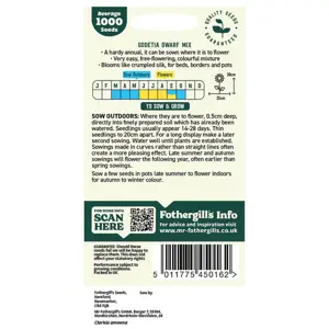 UK/CV-GODETIA Dwarf Mixed - image 2