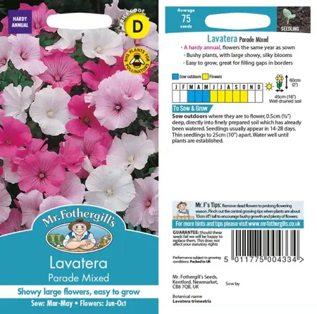 UK/CV-LAVATERA Pastel Mixed - image 1