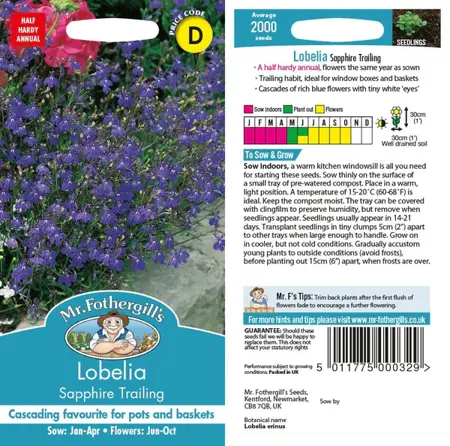 UK/CV-LOBELIA (Trailing) Sapph - image 1