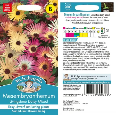 UK/CV-MESEMBRYANTHEMUM Mixed - image 1