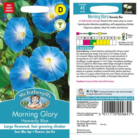 UK/CV-MORNING GLORY Heavenly B - image 1