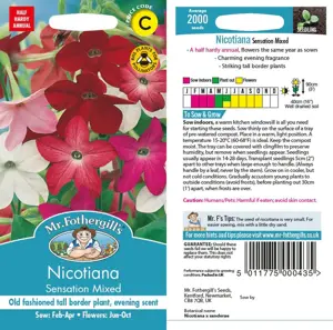 UK/CV-NICOTIANA Sensation Mixe - image 1