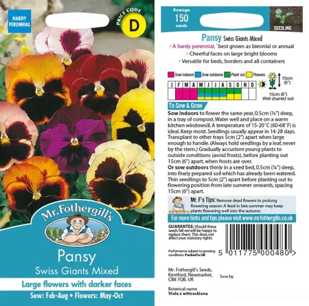 UK/CV-PANSY Swiss Giants Mixed - image 1