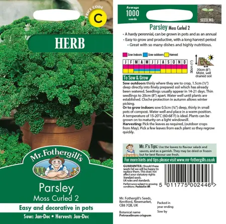 UK/CV-PARSLEY Moss Curled 2 - image 1