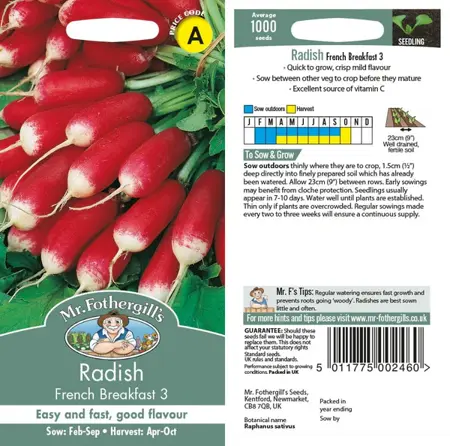 UK/CV-RADISH French Breakfast - image 1