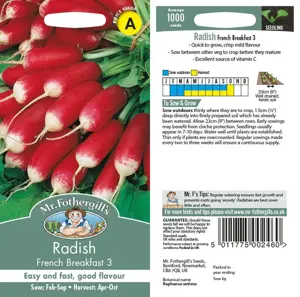 UK/CV-RADISH French Breakfast - image 1