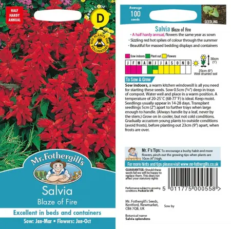 UK/CV-SALVIA Blaze of Fire - image 1