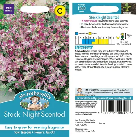 UK/CV-STOCK Night Scented - image 1