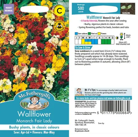 UK/CV-WALLFLOWER Monarch Fair - image 1