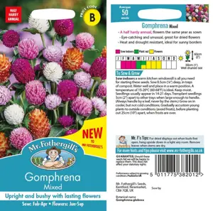UK/FO-GOMPHRENA Mix - image 1