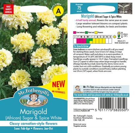 UK/FO-MARIGOLD Sugar & Spice White - image 1