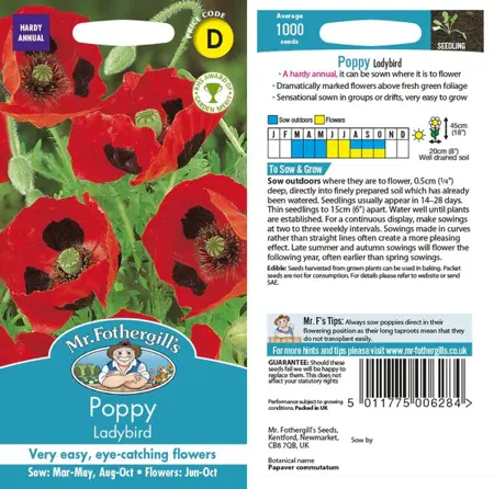 UK/FO-POPPY Ladybird - image 1