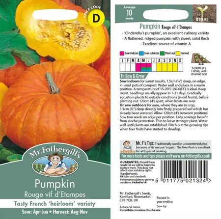 UK/FO-PUMPKIN Rouge vif d'Etampes - image 1