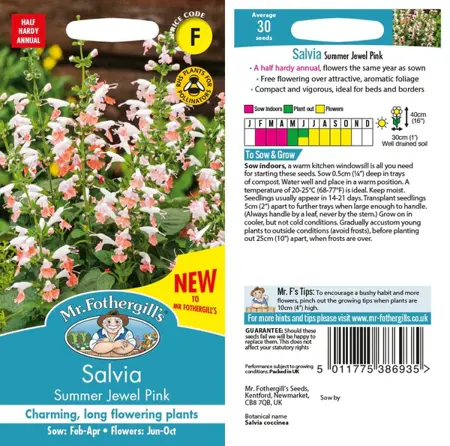 UK/FO-SALVIA Summer Jewel Pink - image 1