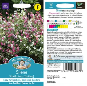 UK/FO-SILENE Sibella Mix (Trailing) - image 1