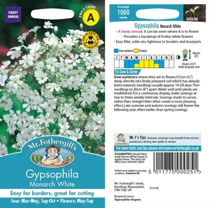 UK/JO-CF GYPSOPHILA Covent Garden - image 1