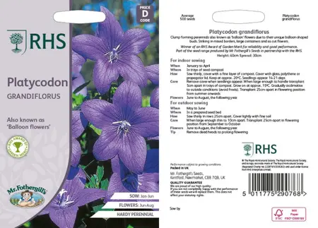 UK/JO-CF PLATYCODON Florists Blue - image 1