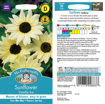 UK/JO-CF SUNFLOWER Vanilla Ice - image 1
