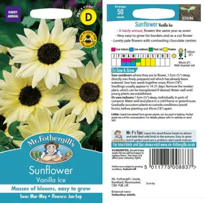 UK/JO-CF SUNFLOWER Vanilla Ice - image 1