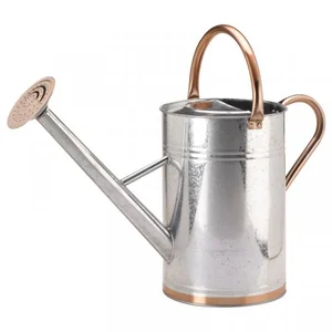 Watering Can - Galvanised 9L